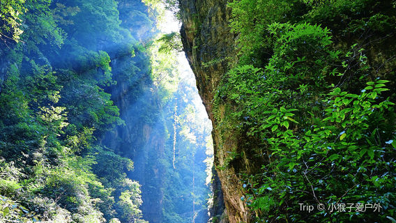 xian feng shan sen lin ying di