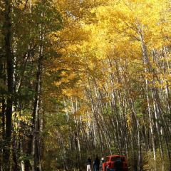 额尔古纳奇乾乡二黑农家院 User Photo