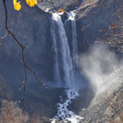 本达人海鲜烧烤(发展店) User Photo