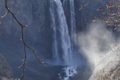 本达人海鲜烧烤(发展店)