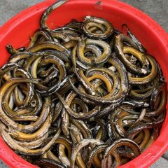 燕岗饭店(马道店) User Photo