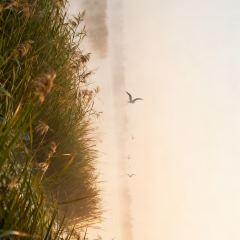 FANGANG CHINA HUAI YANG FOOD User Photo