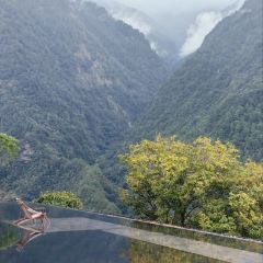 丙中洛雲野·見江·coffee 咖啡館張用戶圖片