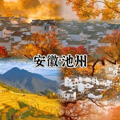 Laotaipo Restaurant (zhaoxia) User Photo