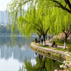 SEE MOUNTAIN LU TALK 여행 사진