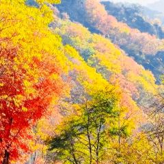 李氏烧烤屋 User Photo