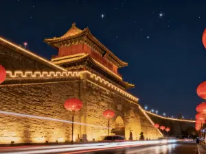 Nan cang kou wang jia chuan tong shao mai guan(zong dian)