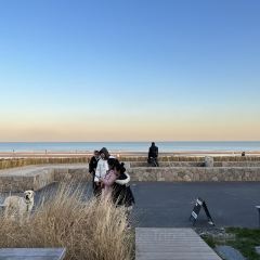 Bar Lotus User Photo