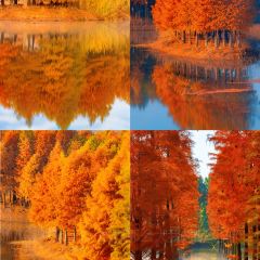 洪泽湖小鱼锅贴城(淮建路店) 여행 사진