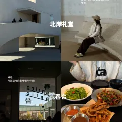 Bar Lotus User Photo