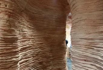 李广记杏皮茶 여행 사진