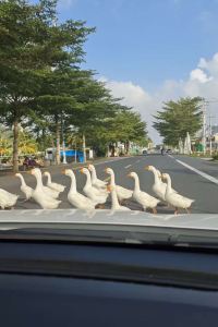 M49656**** 新加坡小印度假日飯店 - IHG 旗下飯店優惠