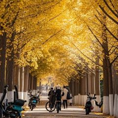 卢布里西餐厅(星海广场店) User Photo