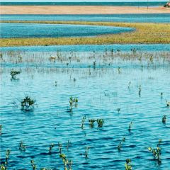 Zhan yi gong shi la zi Chicken (zhan yi) User Photo