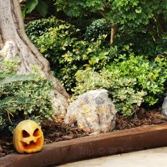 Le Cabestan User Photo