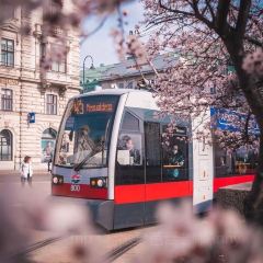 Café Sperl User Photo