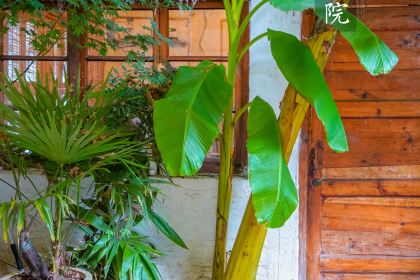 赵家蒸鸡鸡汤(解放路店)