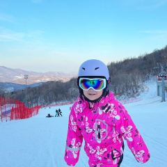 二民铁锅炖 User Photo