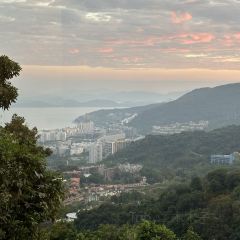 蜜悦·秘野仙踪半山森林餐厅 User Photo