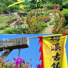 禅龙峡餐厅 User Photo