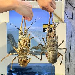 渔夫先生·海鲜小炒大排档(香湖湾店) User Photo