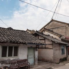 陈鸭子饭庄(固驿镇店) User Photo