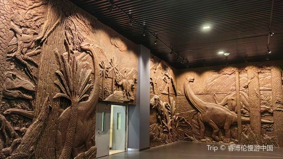 Shanshan County Jurassic Museum