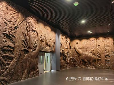 Shanshan County Jurassic Museum