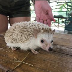 포홀릭 여행 사진