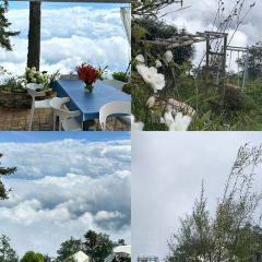 见山小院 User Photo