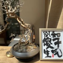 田园居(蓝田店) 여행 사진