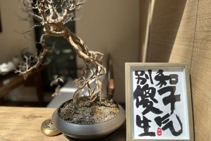 田园居(蓝田店)