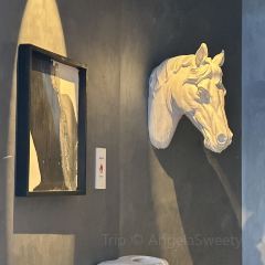 MAX SHANGHAI User Photo