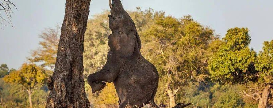 Lochinvar National Park