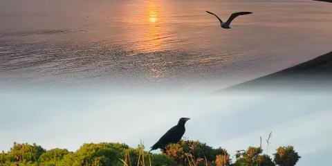 Bennett's Fish & Chips