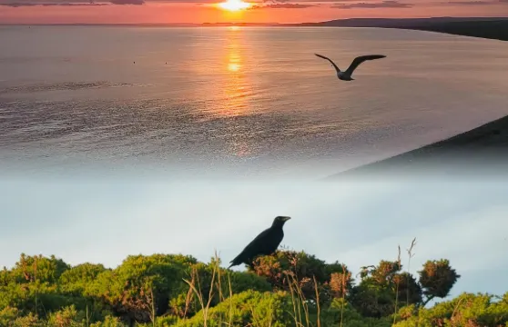 Bennett's Fish & Chips
