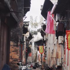 两棵树馄饨店(渔梁住保小区店) User Photo