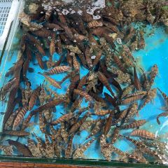 企沙渔港 User Photo