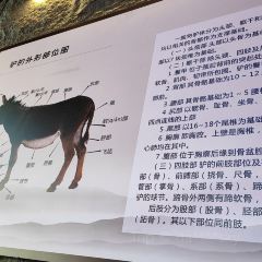 QIAO LAO YE LV ROU GUAN PU SHAN LU DIAN User Photo