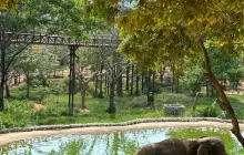 Samui Elephant Kingdom Sanctuary