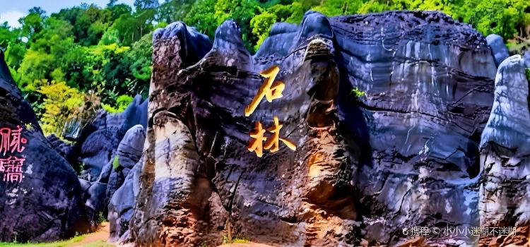 海南八一石花水洞地质公园