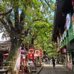 武夷山麦当劳仙凡界路得来速餐厅 User Photo