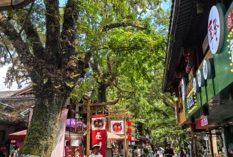 武夷山麦当劳仙凡界路得来速餐厅 User Photo