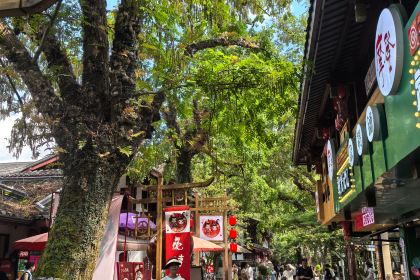 武夷山麦当劳仙凡界路得来速餐厅