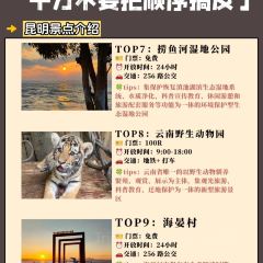 菌齐彩菇 User Photo