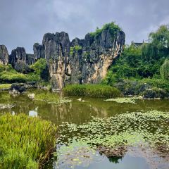 石林杏林大观园樱花峪药膳坊餐厅 User Photo