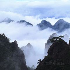 LAO MA CAI User Photo