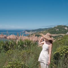 大樂之野（嵊泗黃龍島燈塔店）·野有食（黃龍島店）張用戶圖片