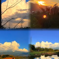 骆大姐手摊凉粉 User Photo