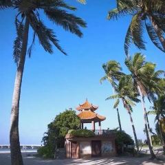 小海豚海鲜广场(清水湾店) User Photo